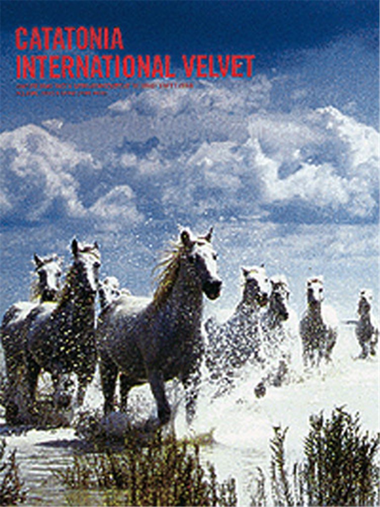 International Velvet